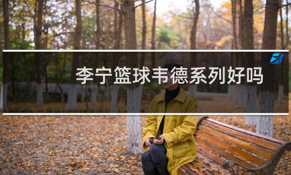 李宁篮球韦德系列好吗图片