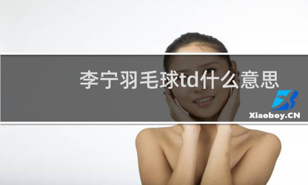 李宁羽毛球td什么意思图片