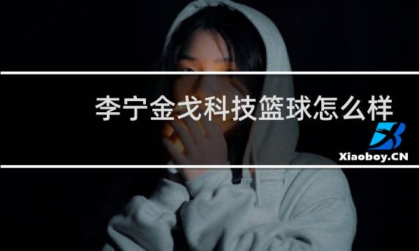 李宁金戈科技篮球怎么样图片