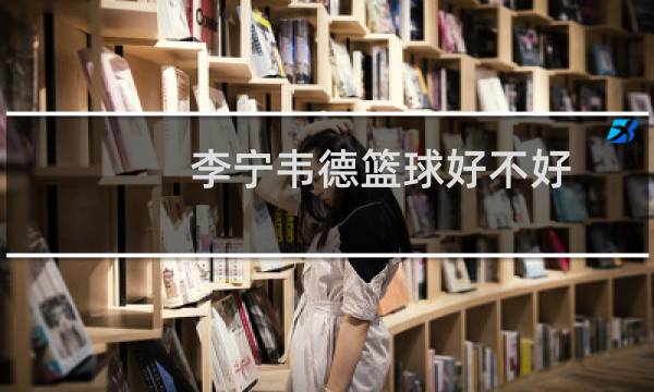 李宁韦德篮球好不好图片