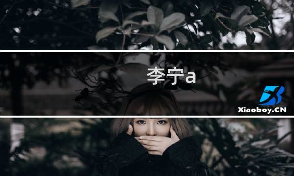 李宁a 30羽毛球怎么样图片