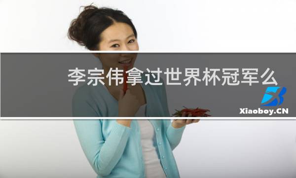 李宗伟拿过世界杯冠军么图片