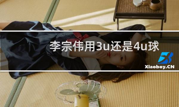 李宗伟用3u还是4u球拍图片