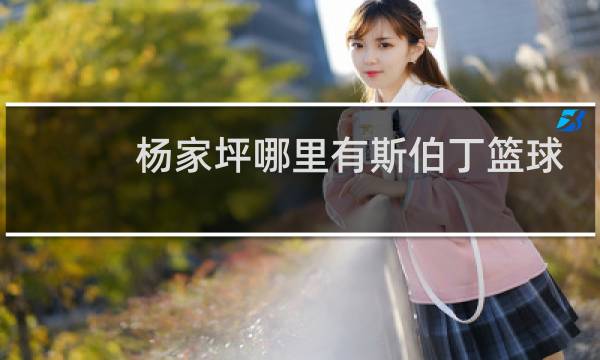 杨家坪哪里有斯伯丁篮球专卖店图片