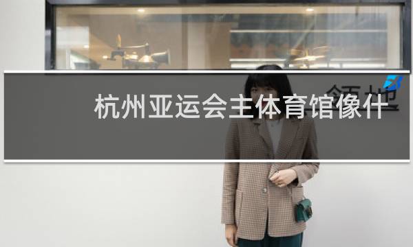 杭州亚运会主体育馆像什么图片