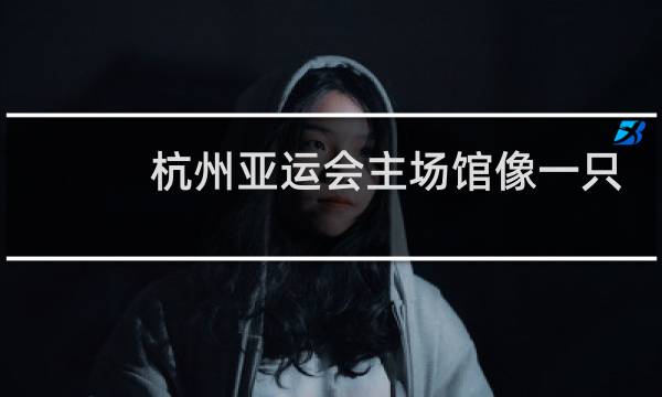 杭州亚运会主场馆像一只什么网图片