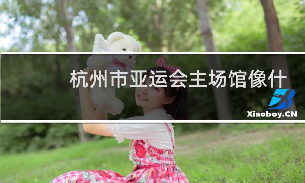 杭州市亚运会主场馆像什么图片