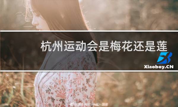 杭州运动会是梅花还是莲花图片