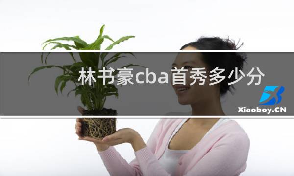 林书豪cba首秀多少分图片