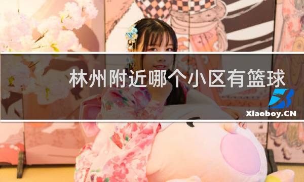 林州附近哪个小区有篮球场图片