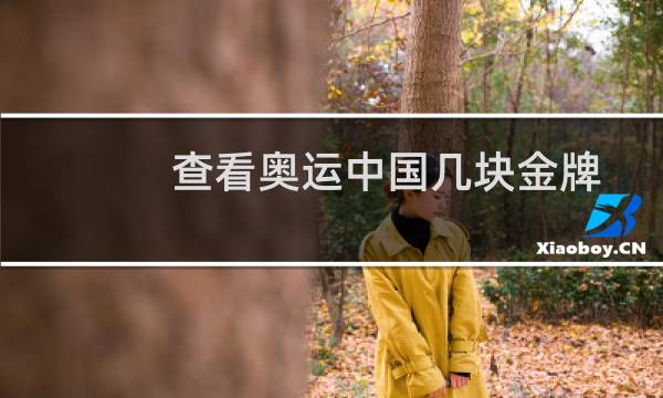 查看奥运中国几块金牌图片