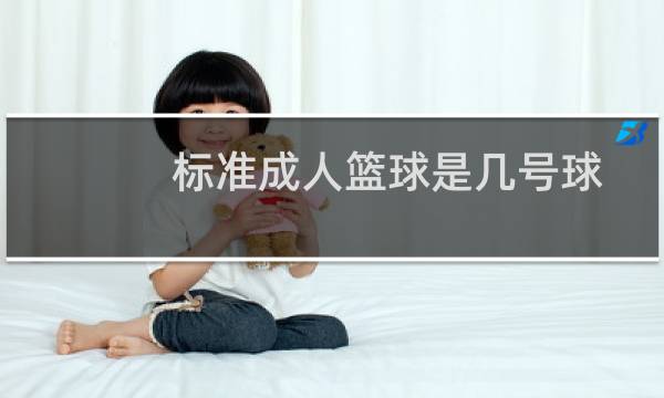 标准成人篮球是几号球图片