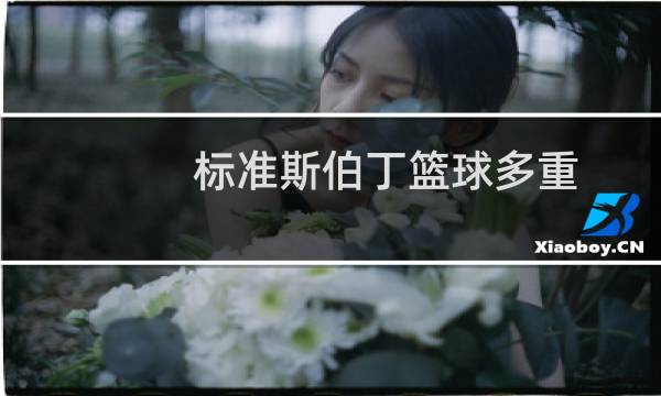 标准斯伯丁篮球多重图片