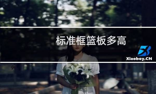 标准框篮板多高图片