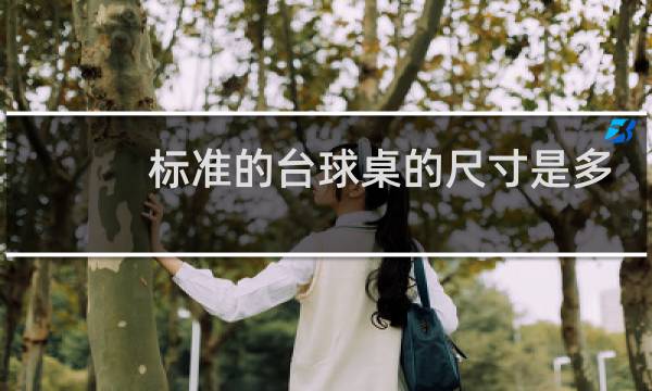 标准的台球桌的尺寸是多大图片