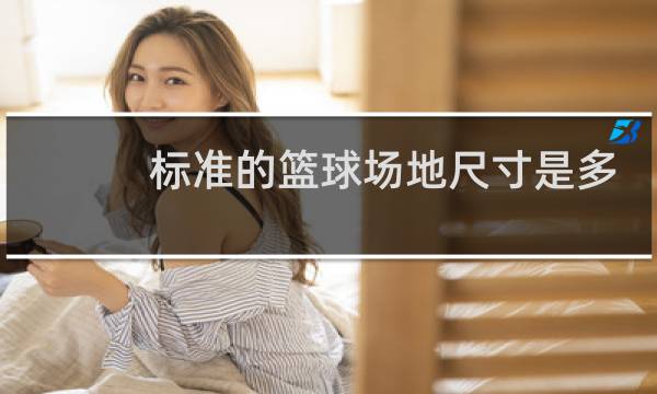 标准的篮球场地尺寸是多少图片
