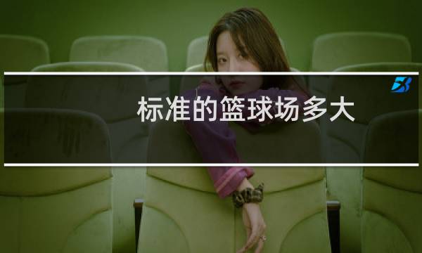 标准的篮球场多大图片