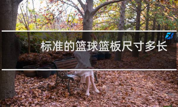 标准的篮球篮板尺寸多长多宽图片