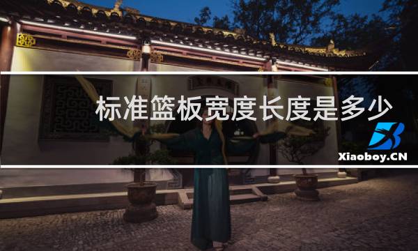 标准篮板宽度长度是多少图片