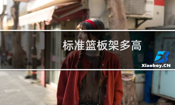 标准篮板架多高图片