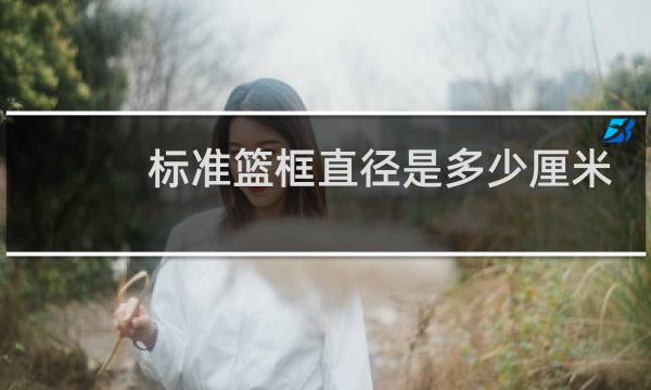 标准篮框直径是多少厘米图片