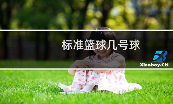 标准篮球几号球图片