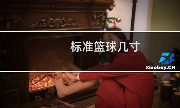 标准篮球几寸图片