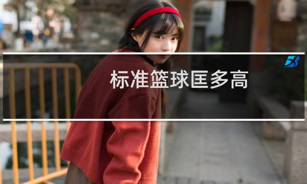 标准篮球匡多高图片