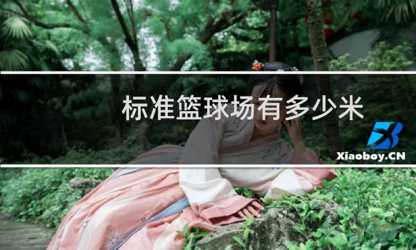 标准篮球场有多少米图片