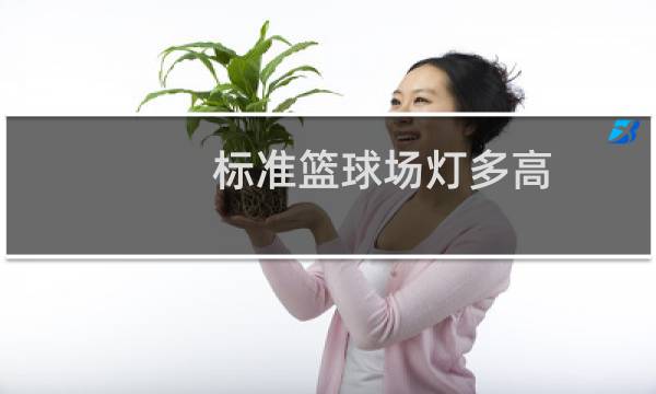 标准篮球场灯多高图片