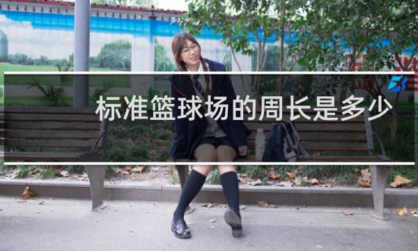 标准篮球场的周长是多少图片