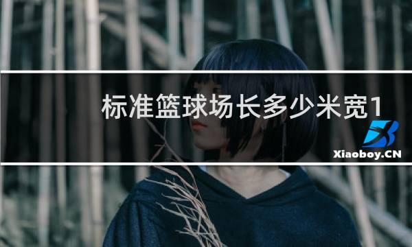 标准篮球场长多少米宽15米图片