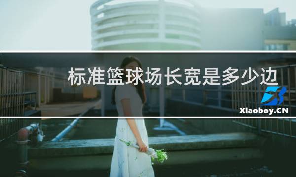 标准篮球场长宽是多少边线宽度图片