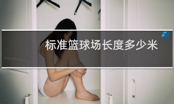 标准篮球场长度多少米图片