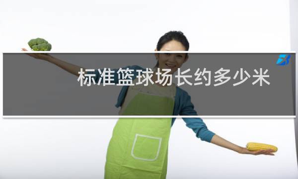 标准篮球场长约多少米图片