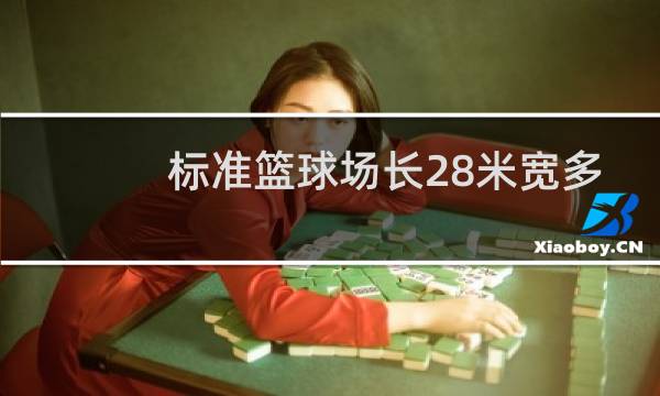 标准篮球场长28米宽多少米图片