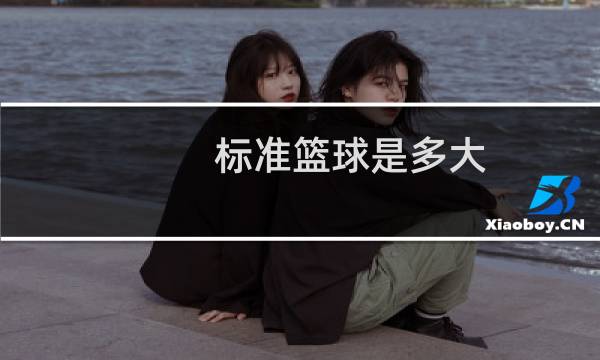 标准篮球是多大图片