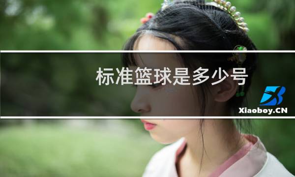 标准篮球是多少号图片