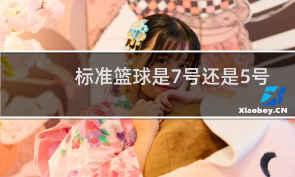 标准篮球是7号还是5号图片