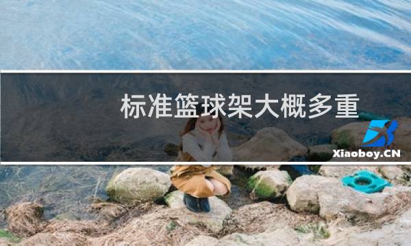 标准篮球架大概多重图片