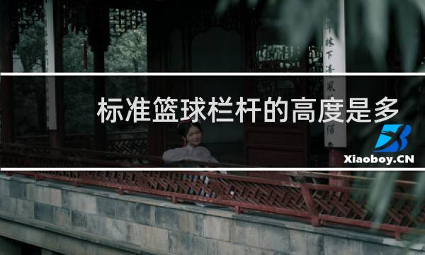 标准篮球栏杆的高度是多少图片