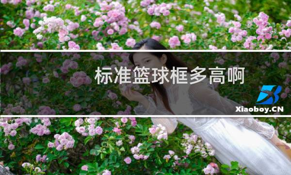 标准篮球框多高啊图片