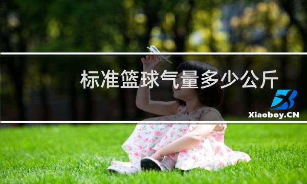 标准篮球气量多少公斤图片