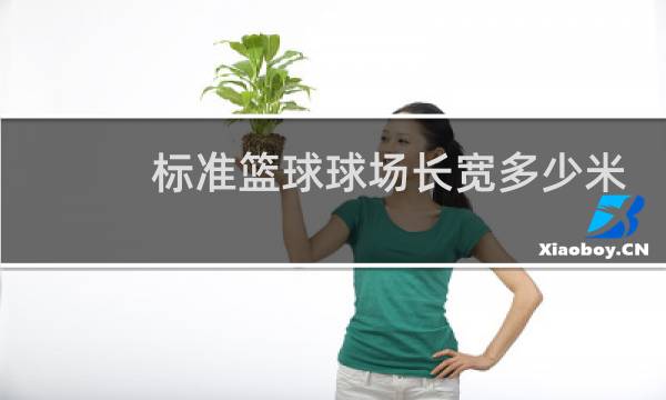 标准篮球球场长宽多少米图片