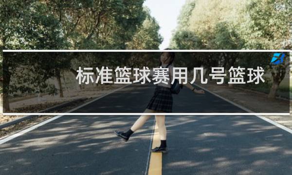 标准篮球赛用几号篮球图片