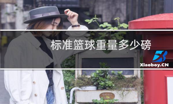 标准篮球重量多少磅图片