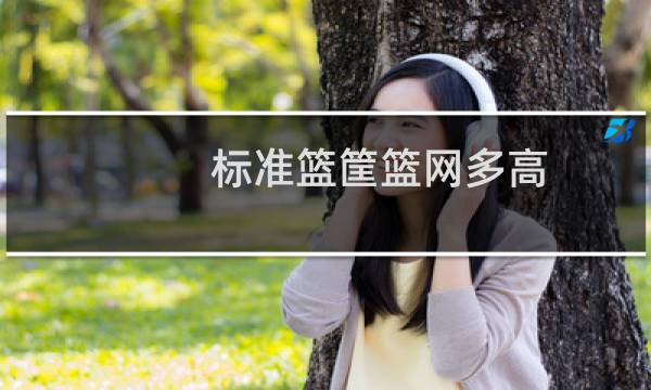 标准篮筐篮网多高图片