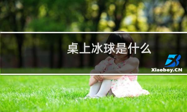 桌上冰球是什么图片