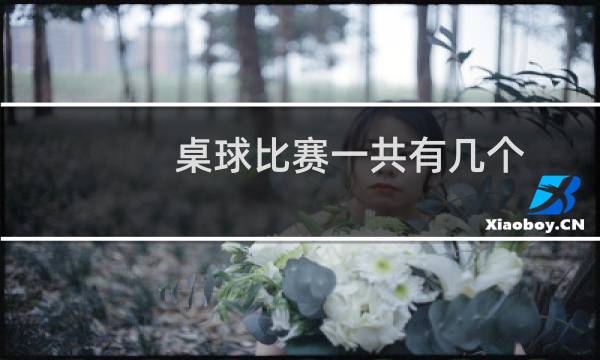 桌球比赛一共有几个图片