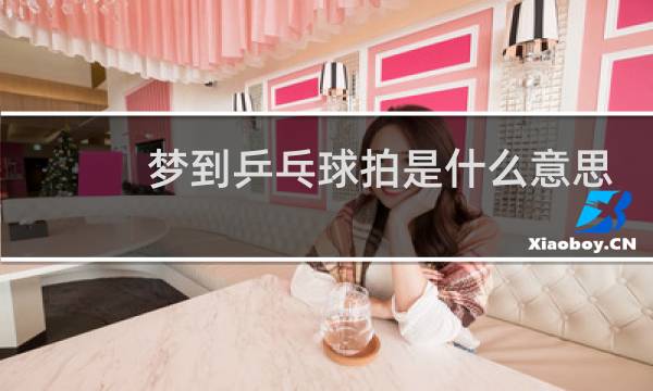 梦到乒乓球拍是什么意思图片